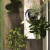 RAGNO WOODTALE XT20 AZULEJO PARA EXTERIOR IMITACION MADERA 40x120 cm (VARIOS COLORES)