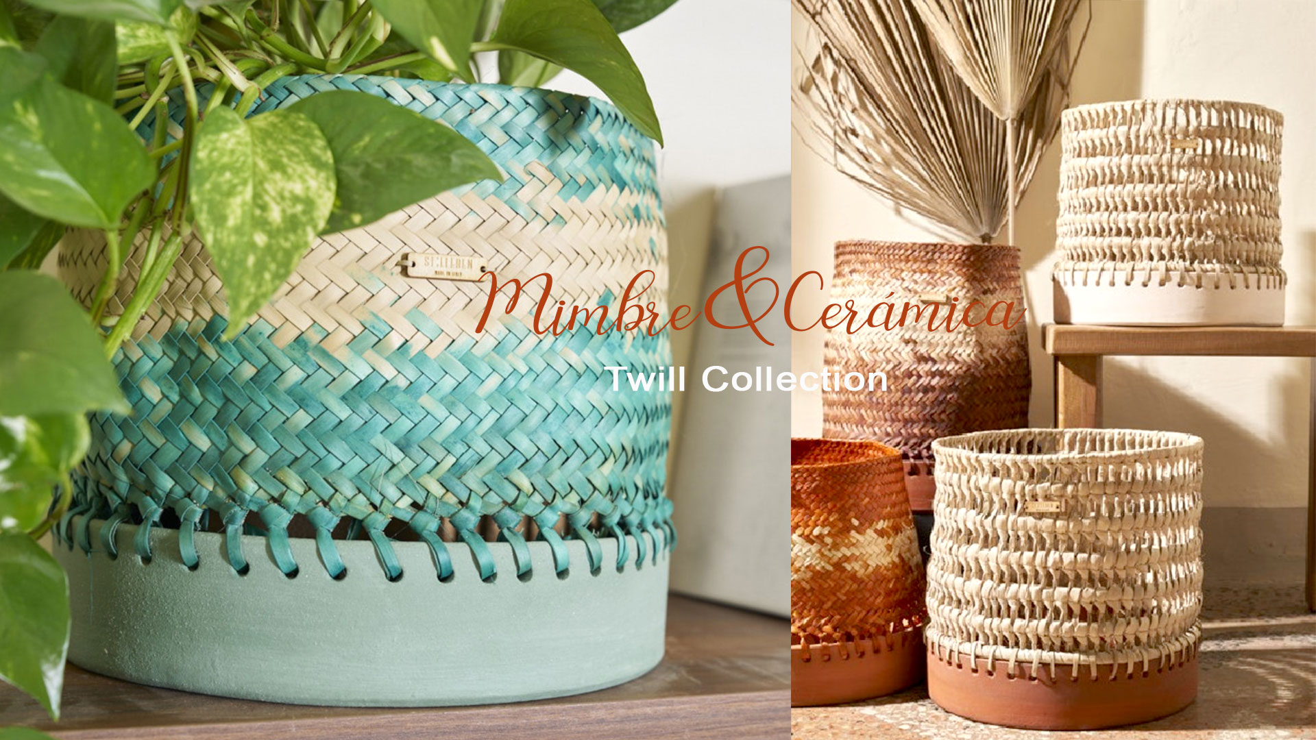 Macetas decorativas: cómo elevar el estilo de tu hogar
